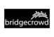 Bridge Crowd